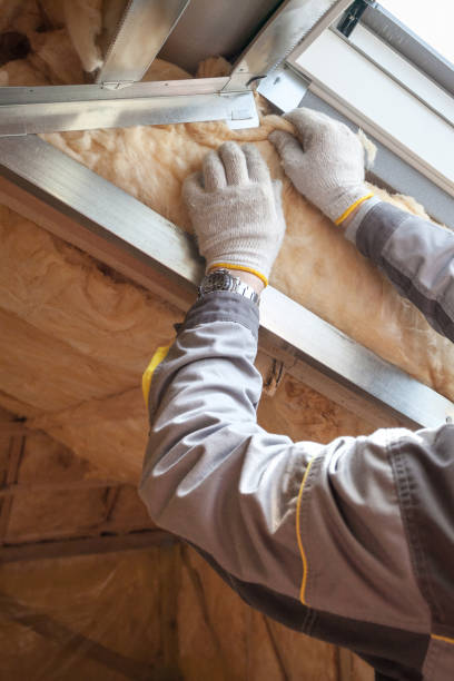 Best Insulation Installation Services in Greensboro, AL