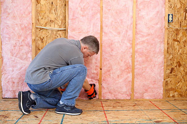 Best Insulation Maintenance and Repair in Greensboro, AL